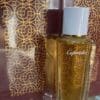 3092 Oud Absolu Capriole 100 ml