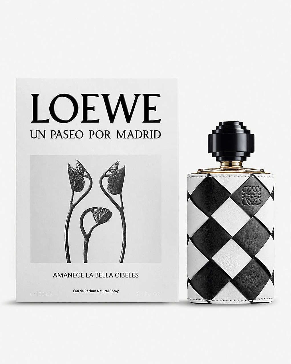 3228 Amanece la bella Cibeles Loewe EDP 100 ml