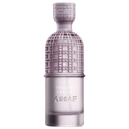 20599 ASSAF – Private Purple 💜 200ml EDP